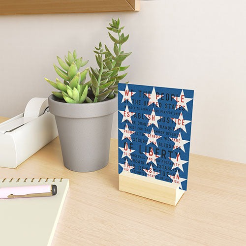 DENY Designs Starred Preamble Mini Art Print