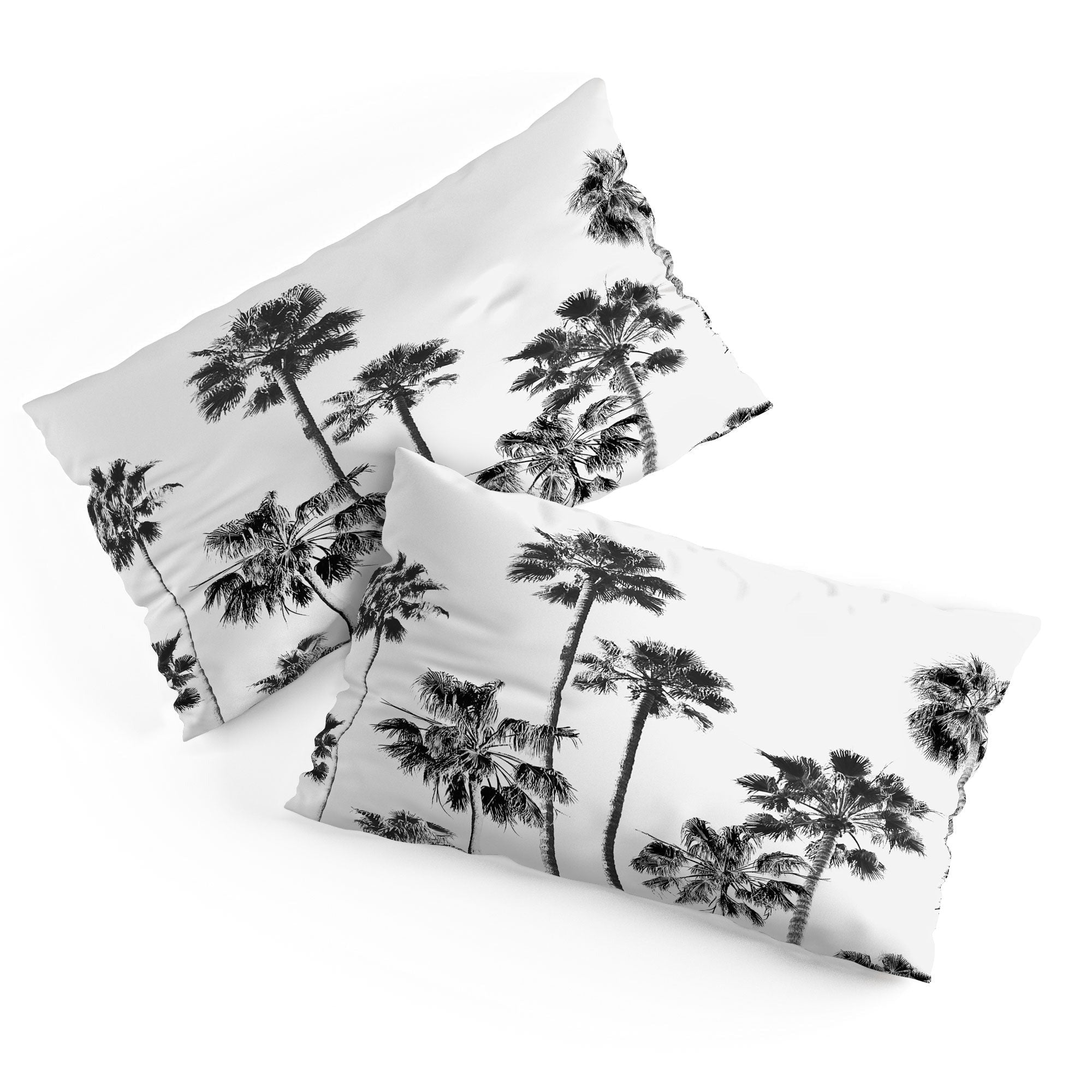 Gal Design Black And White Palms Pillow Shams