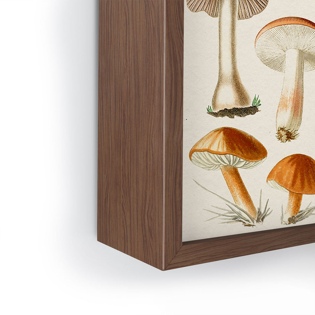 Gal Design Mushrooms Collection Framed Mini Art Print