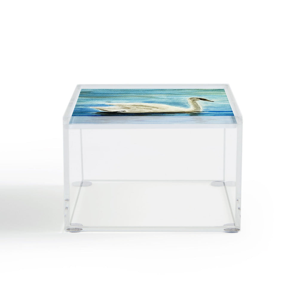 Seleneli_art swan I Acrylic Box