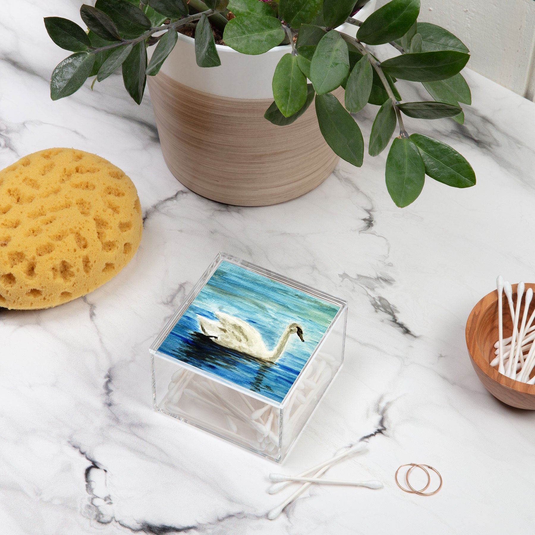 Seleneli_art swan I Acrylic Box