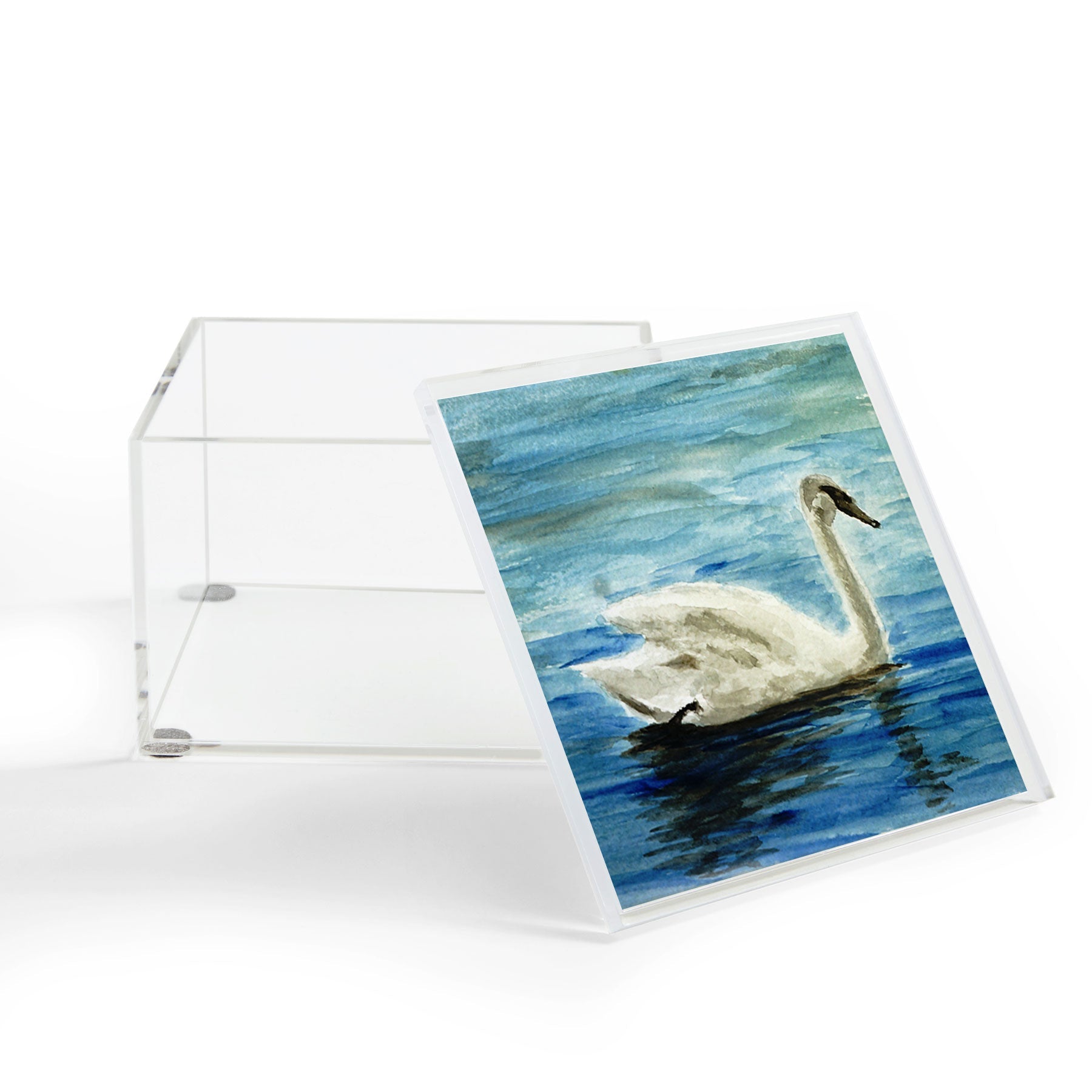 Seleneli_art swan I Acrylic Box
