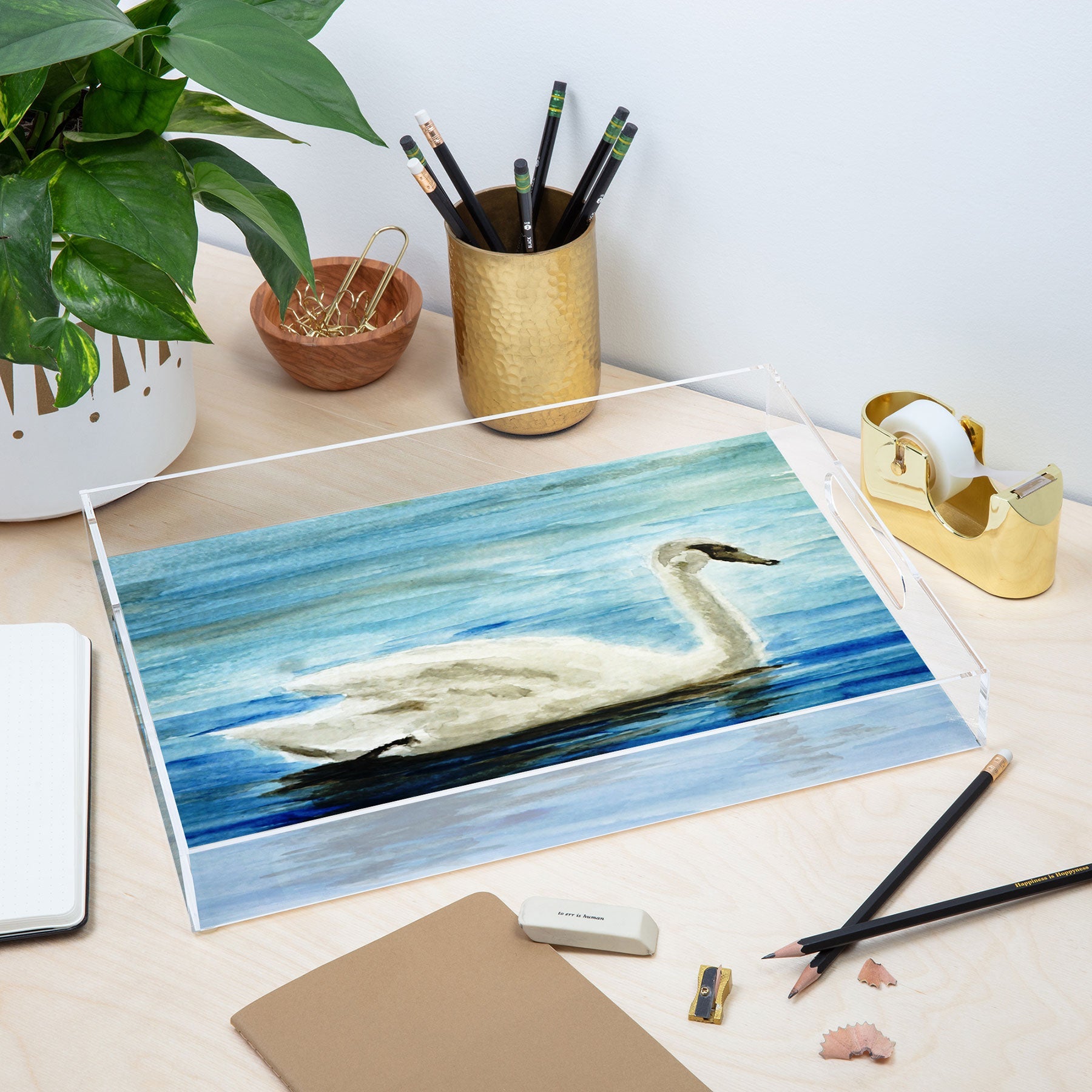 Seleneli_art swan I Acrylic Tray