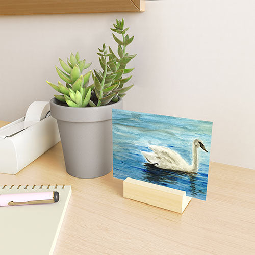 Seleneli_art swan I Mini Art Print