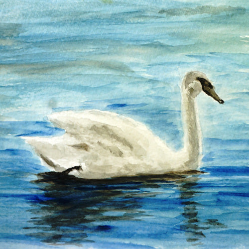 Seleneli_art swan I Shower Curtain