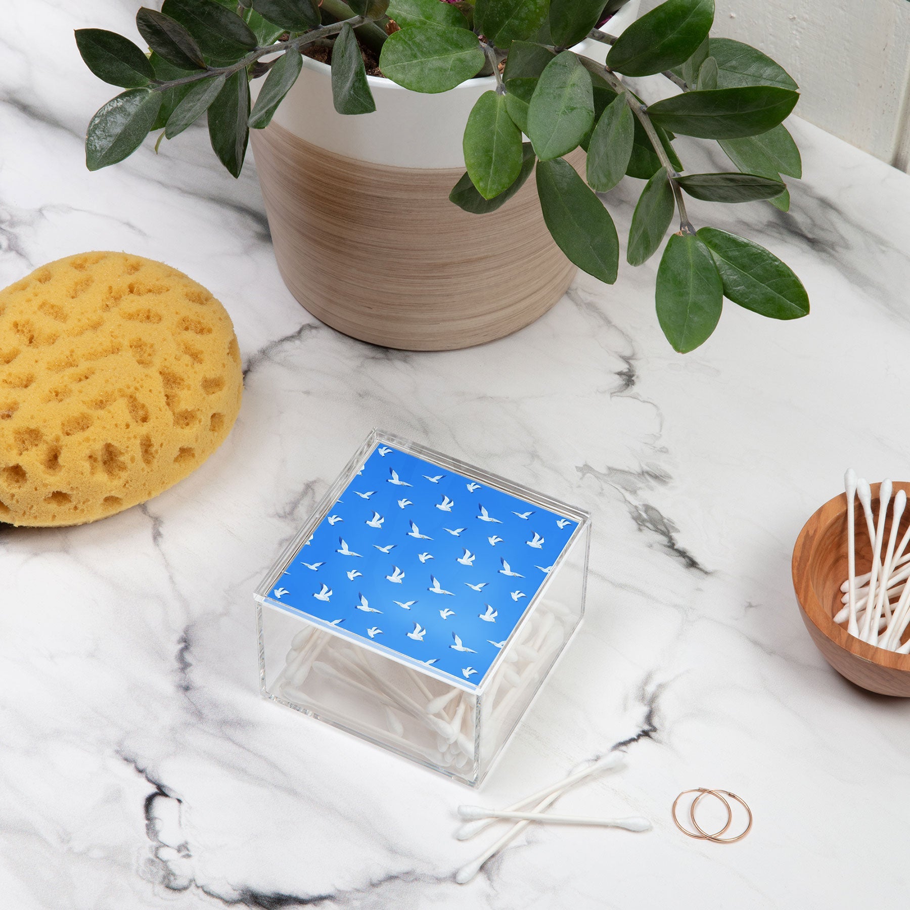 Seta Zakian Seagulls pattern Acrylic Box
