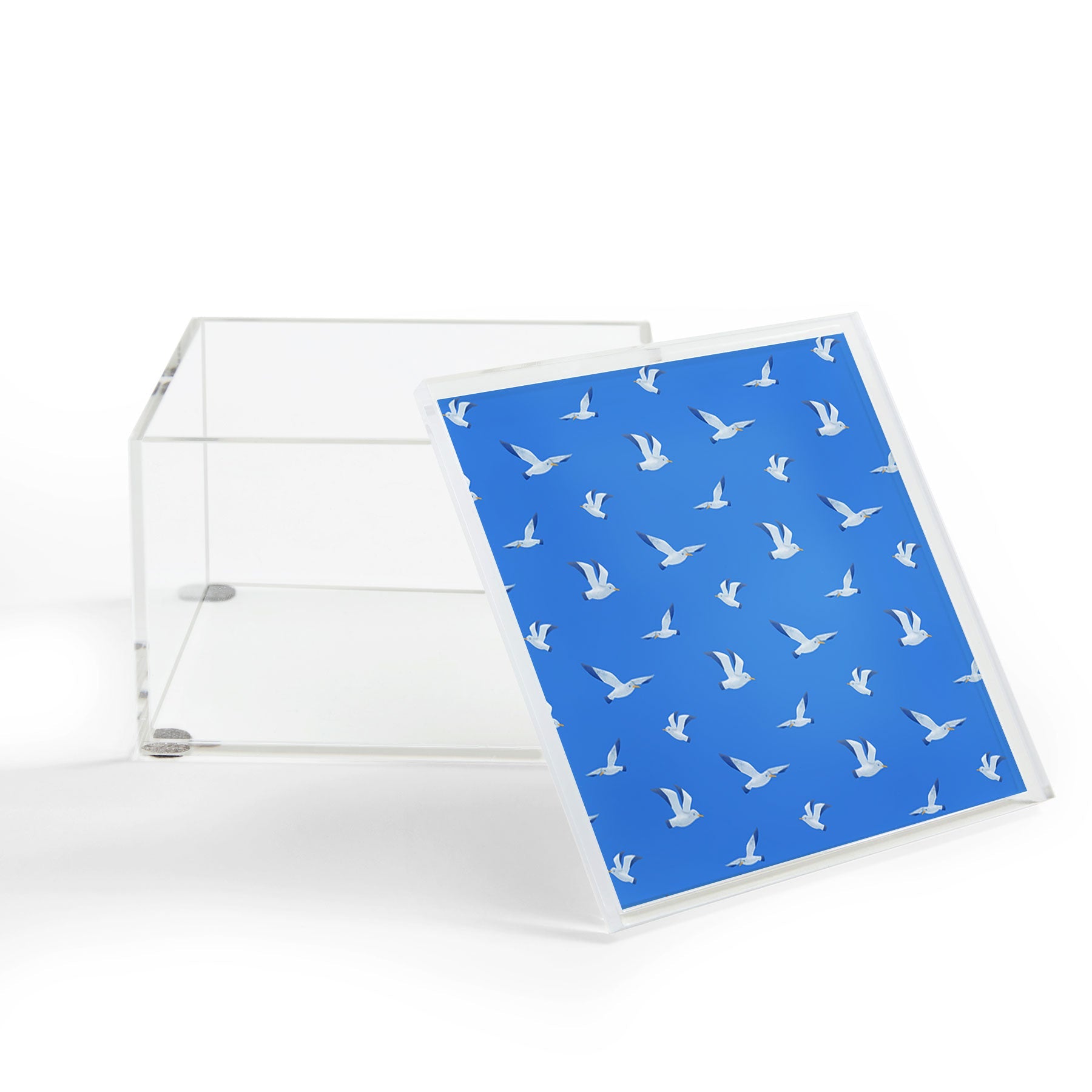 Seta Zakian Seagulls pattern Acrylic Box