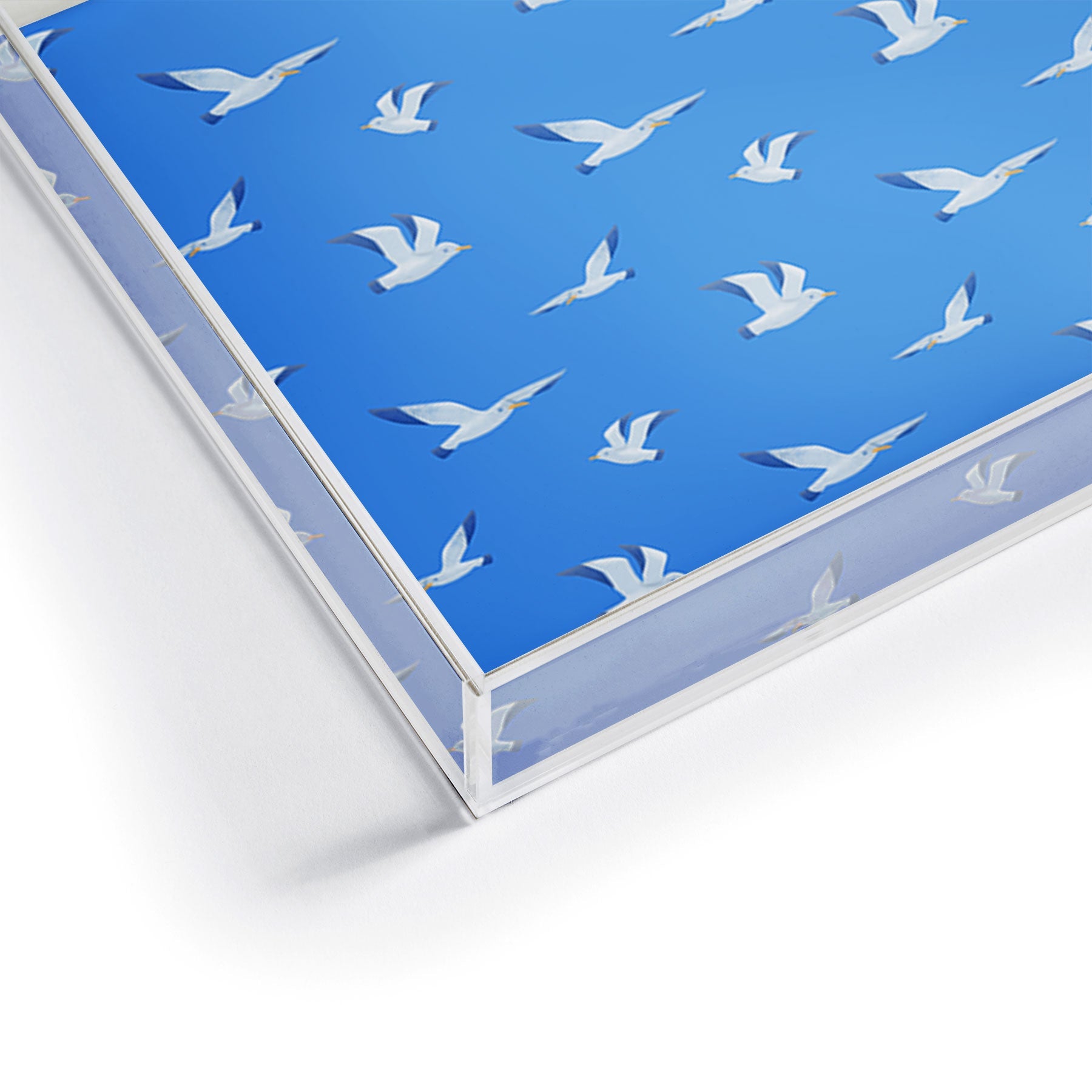 Seta Zakian Seagulls pattern Acrylic Tray