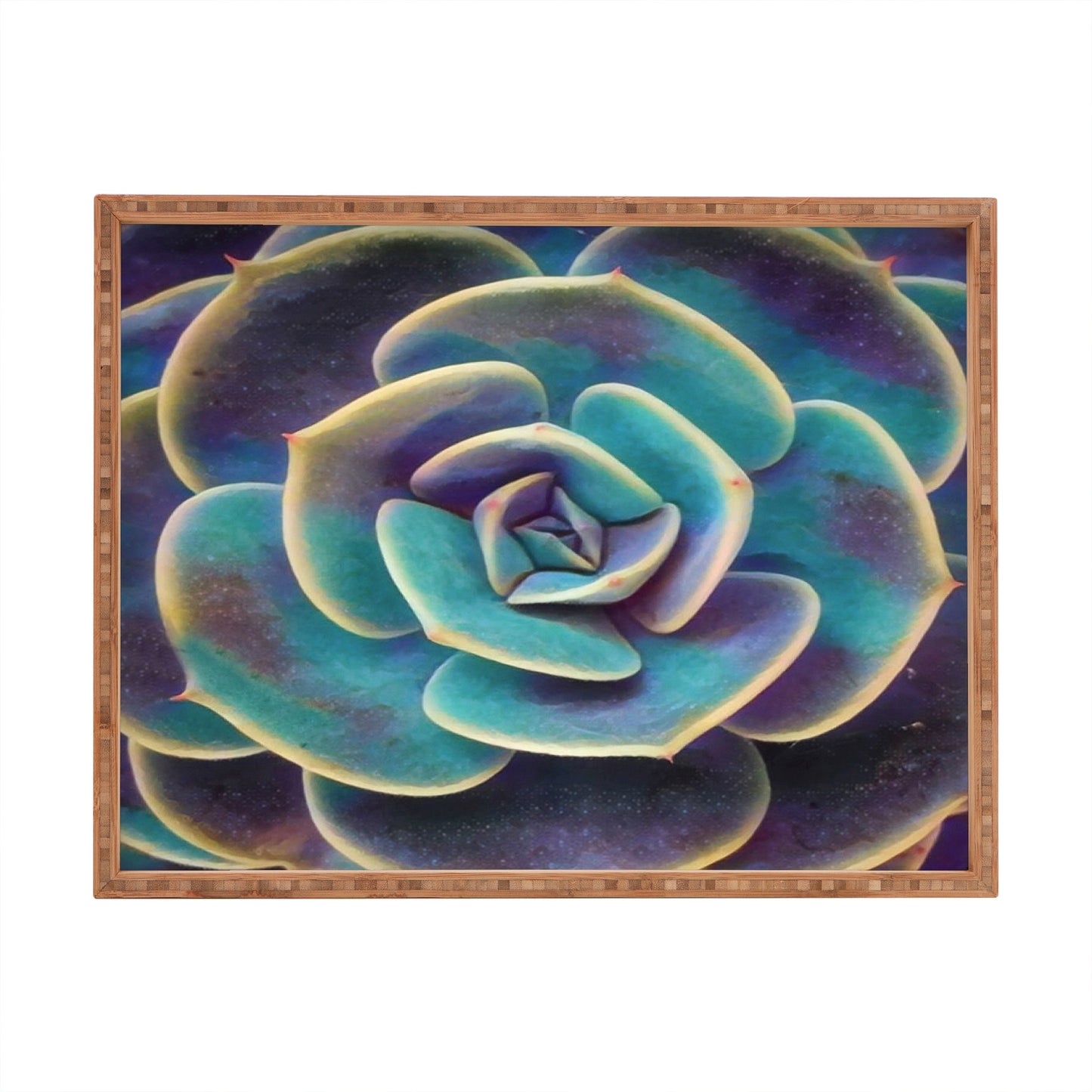 Shannon Clark Purple and Blue Succulent Rectangular Tray