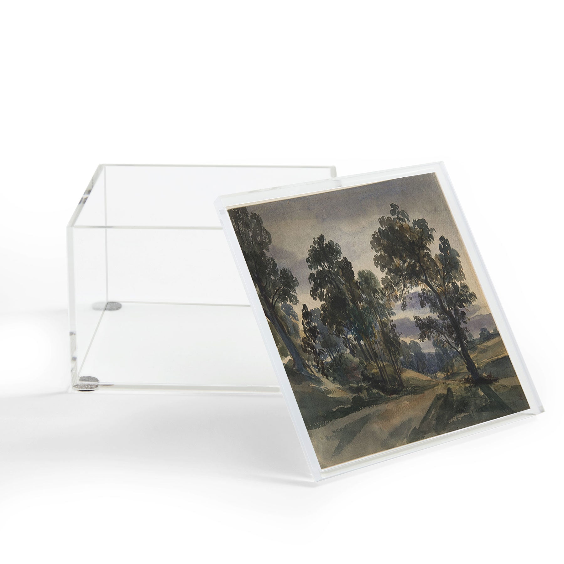 Shopability A Parkland View at Dusk Acrylic Box
