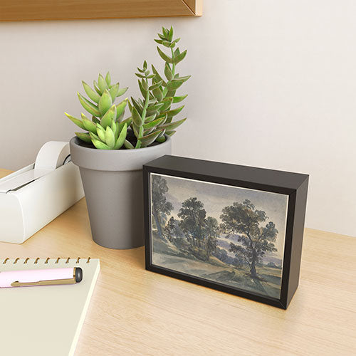 Shopability A Parkland View at Dusk Framed Mini Art Print