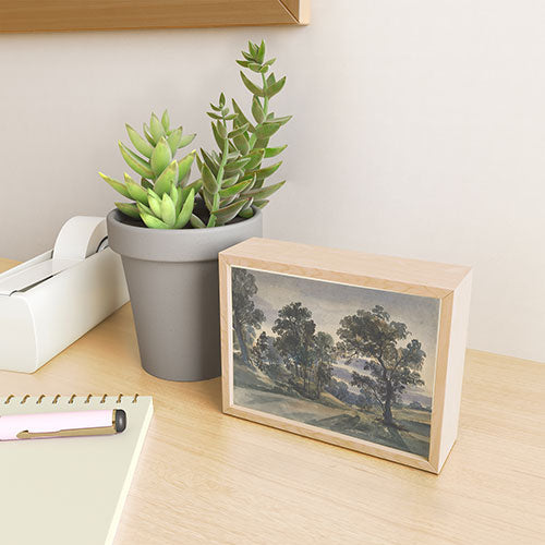Shopability A Parkland View at Dusk Framed Mini Art Print