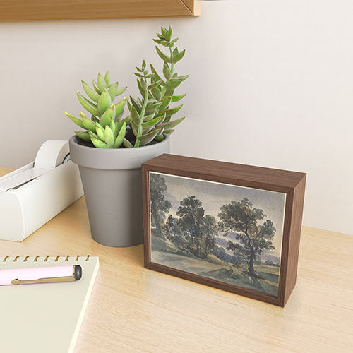 Shopability A Parkland View at Dusk Framed Mini Art Print