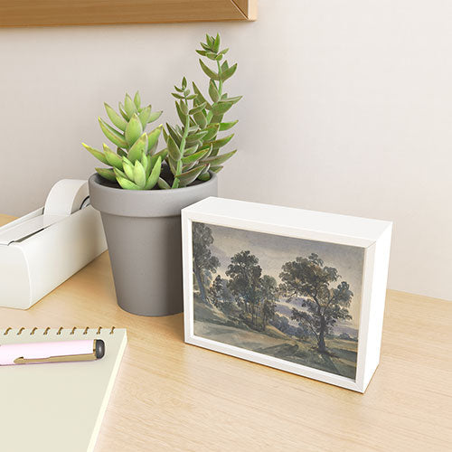 Shopability A Parkland View at Dusk Framed Mini Art Print