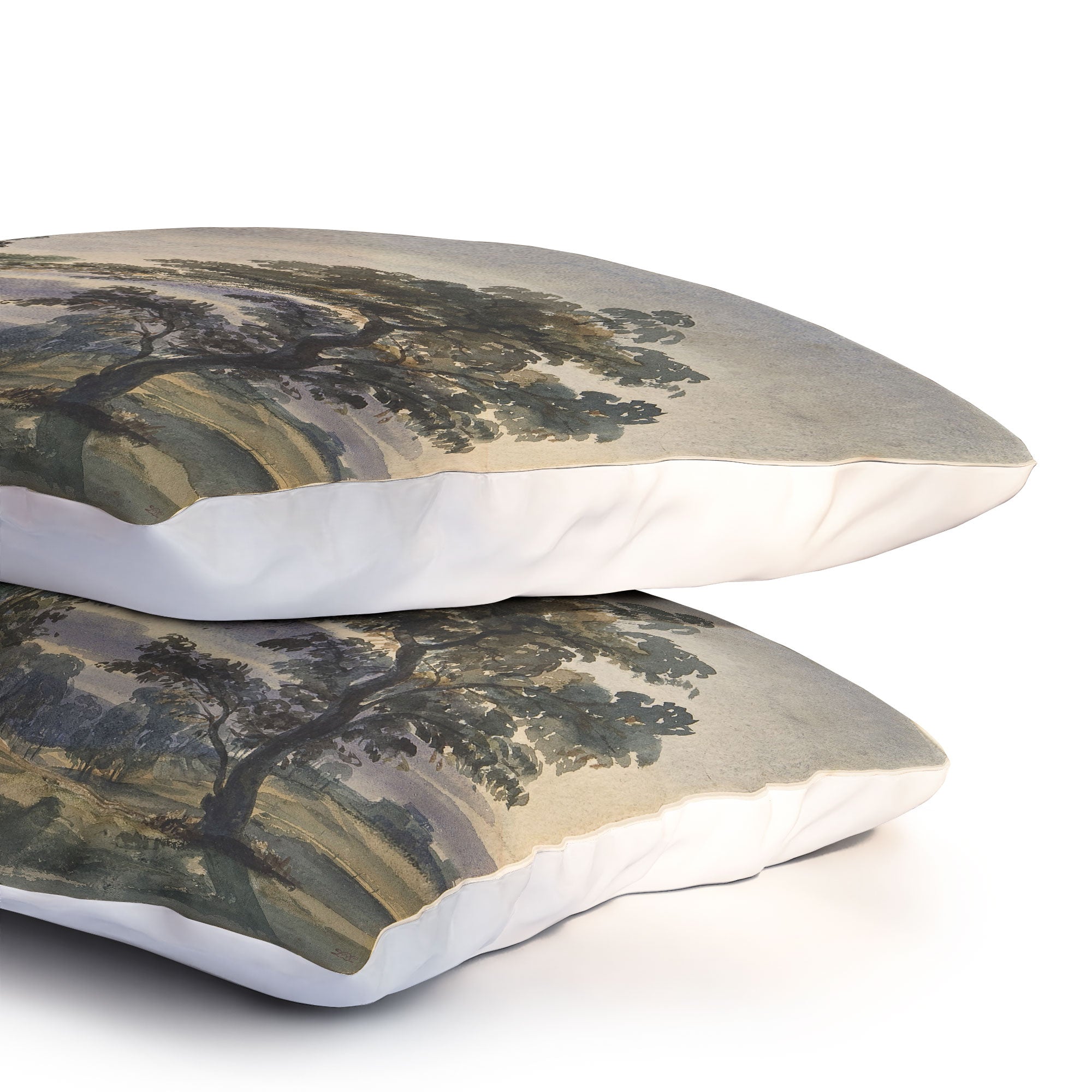 Shopability A Parkland View at Dusk Pillow Shams
