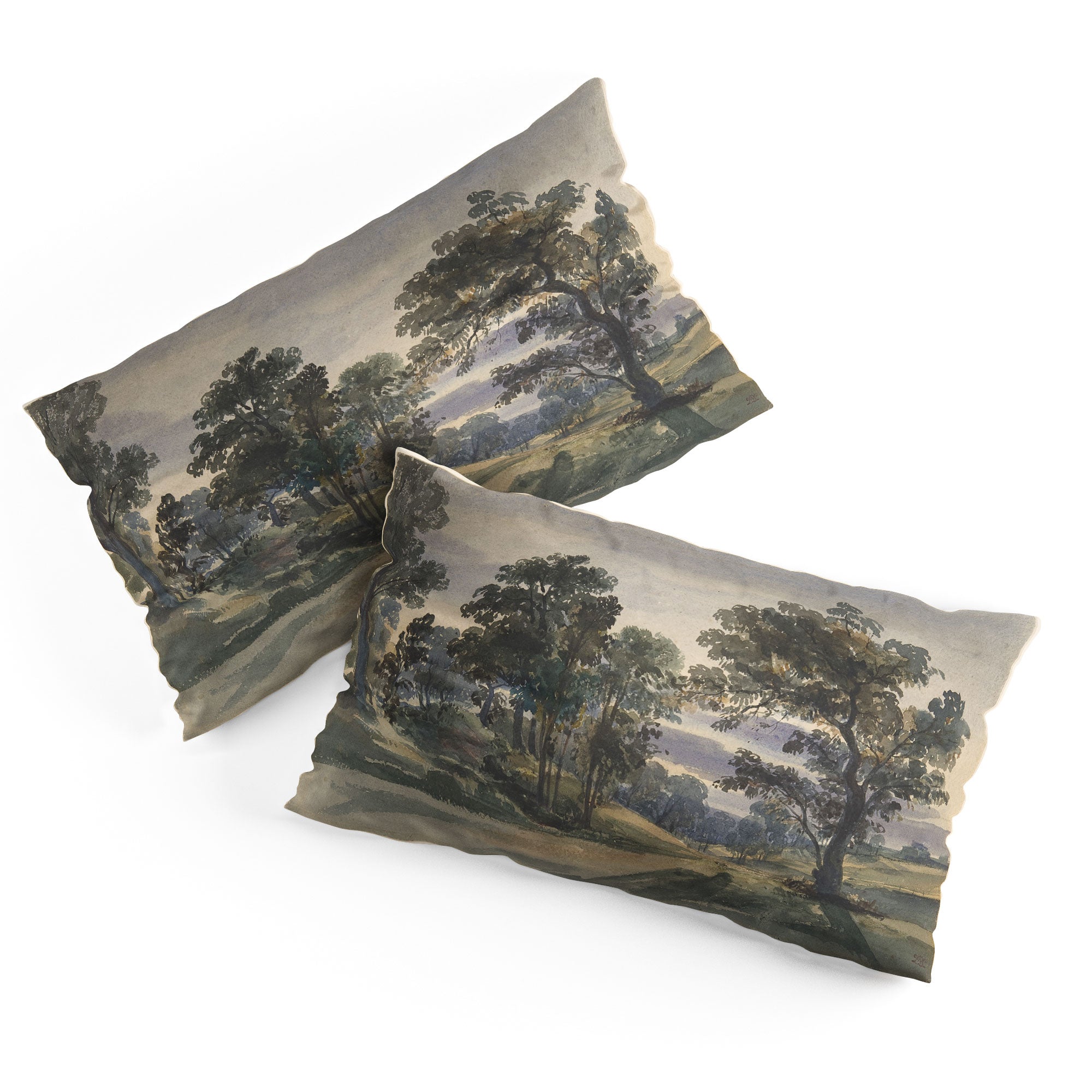 Shopability A Parkland View at Dusk Pillow Shams