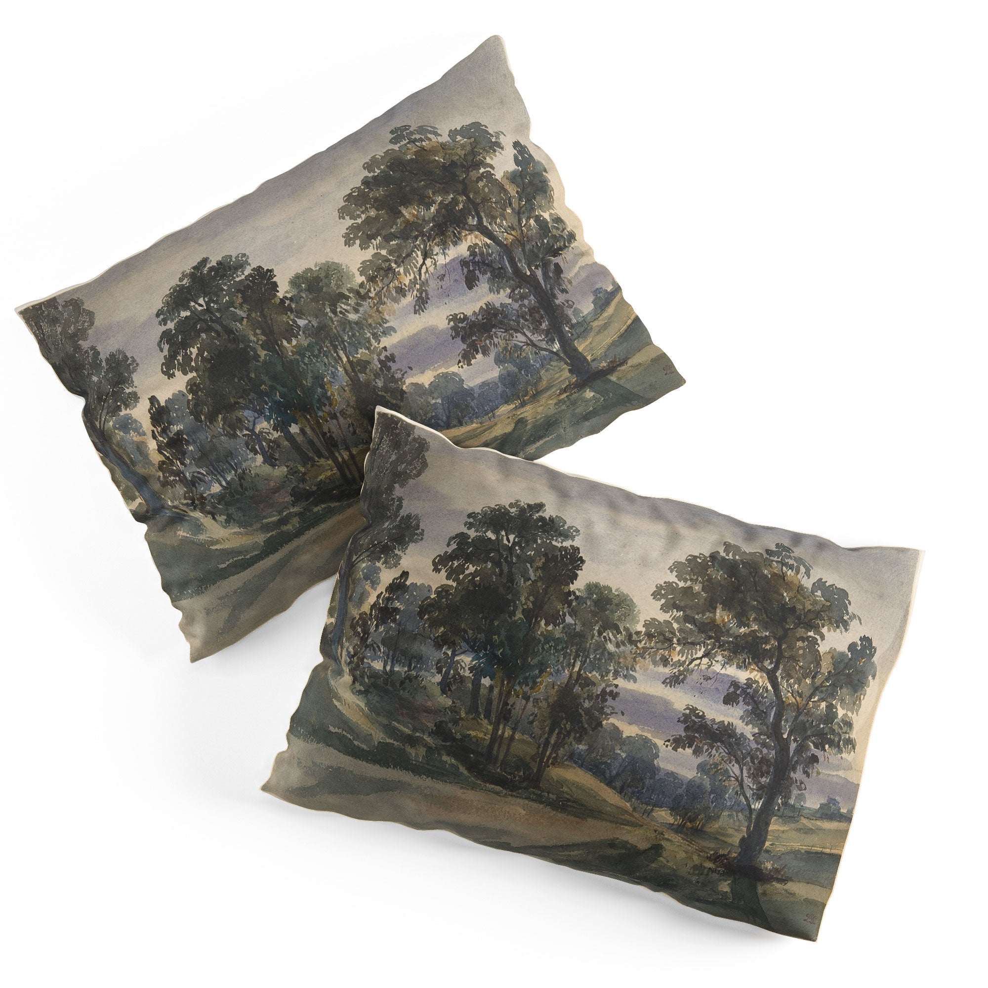 Shopability A Parkland View at Dusk Pillow Shams