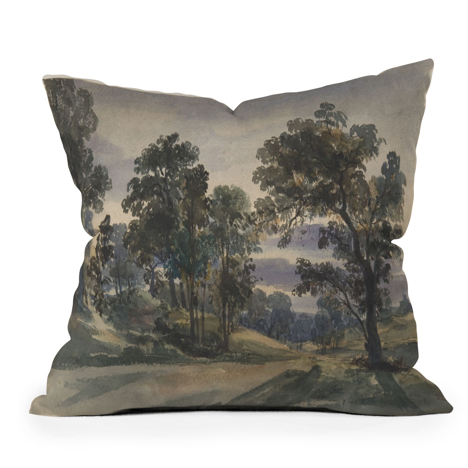 Shopability A Parkland View at Dusk Throw Pillow