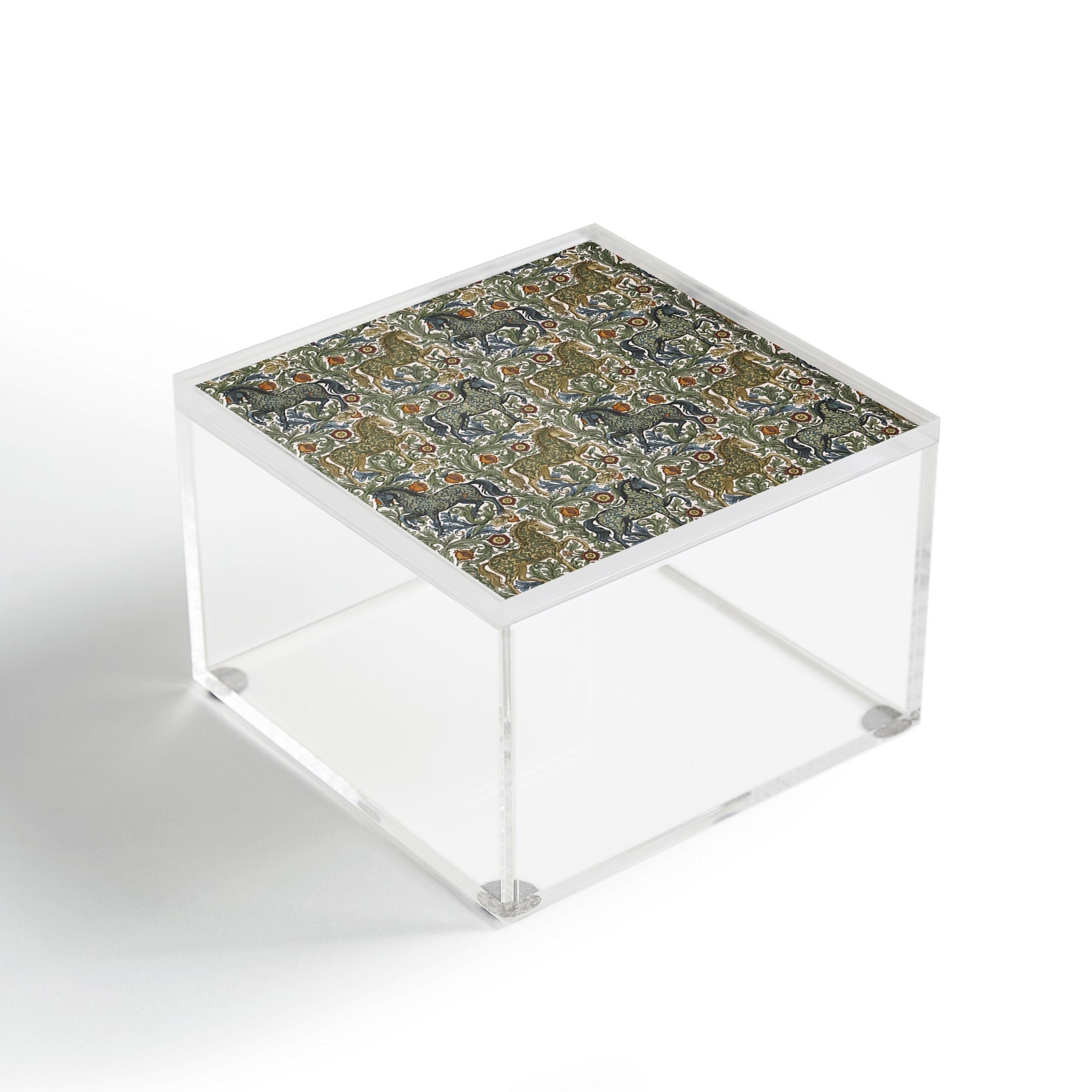 Marta Barragan Camarasa Renaissance Horse Garden Acrylic Box