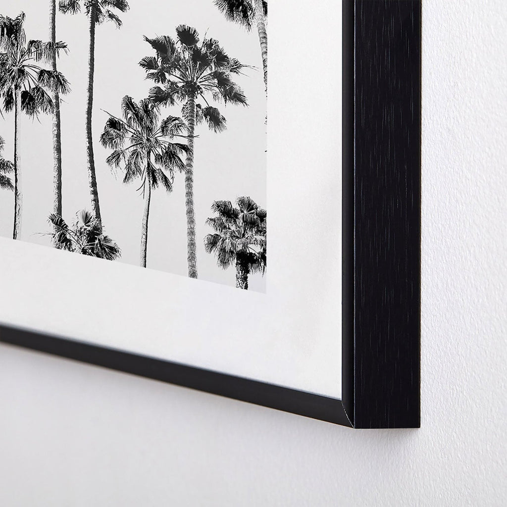 Gal Design Black And White Palms Metal Framed Art Print
