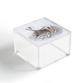 Coco de Paris Why was I born Acrylic Box