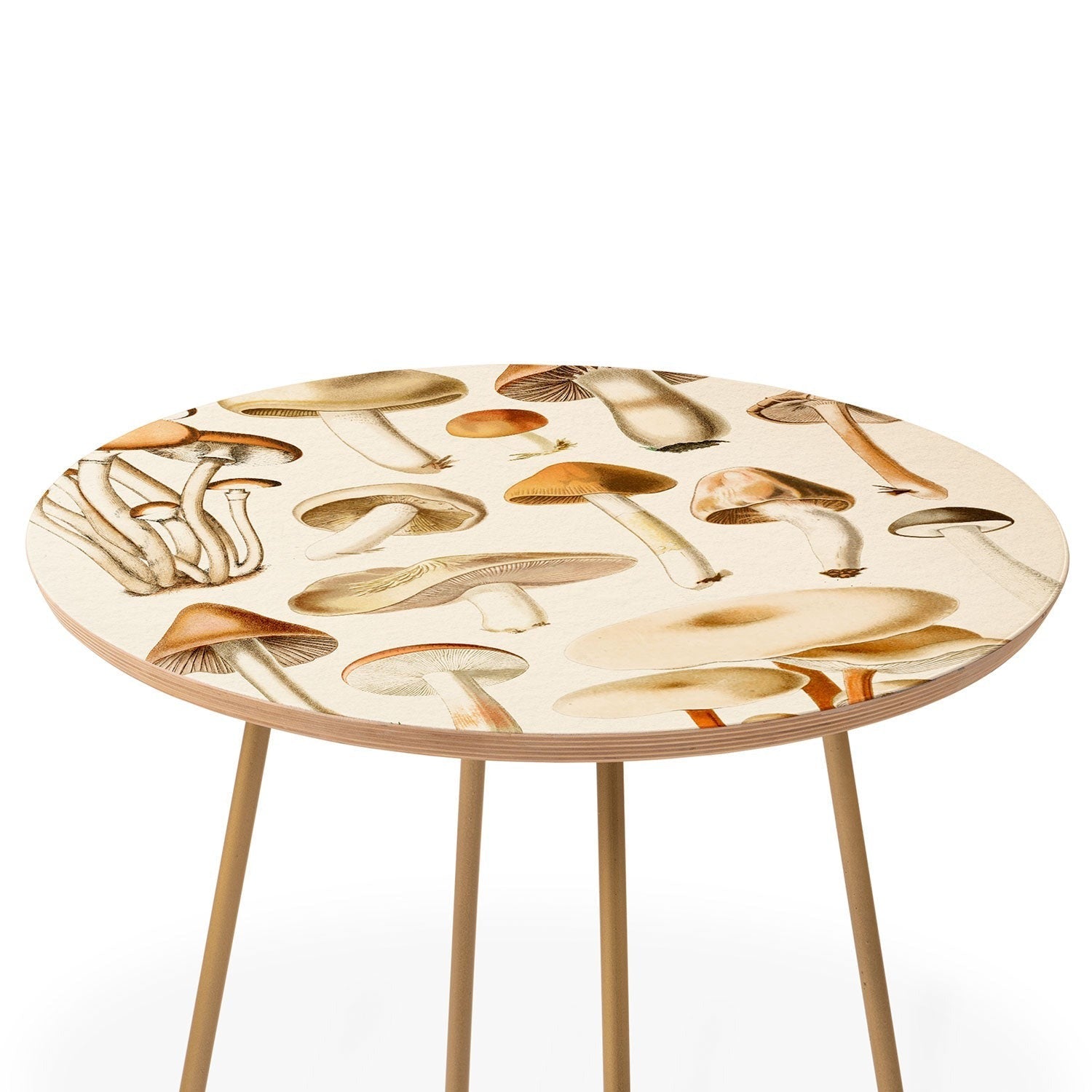 Gal Design Mushrooms Collection Round Side Table