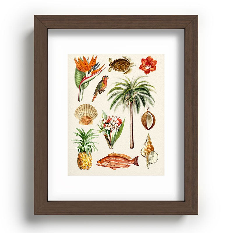 Gal Design Hawaii Collection Recessed Framing Rectangle