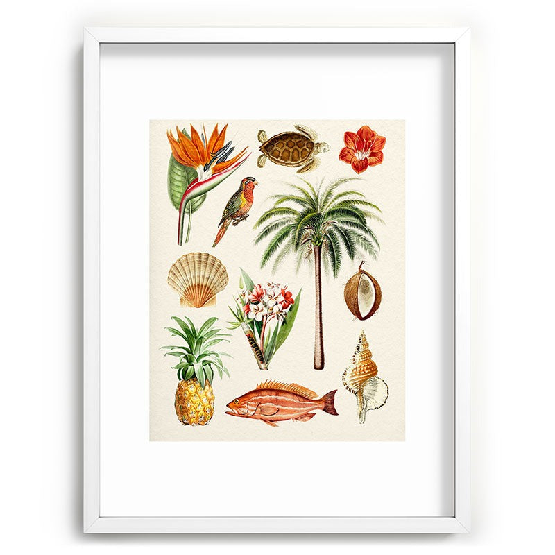 Gal Design Hawaii Collection Recessed Framing Rectangle