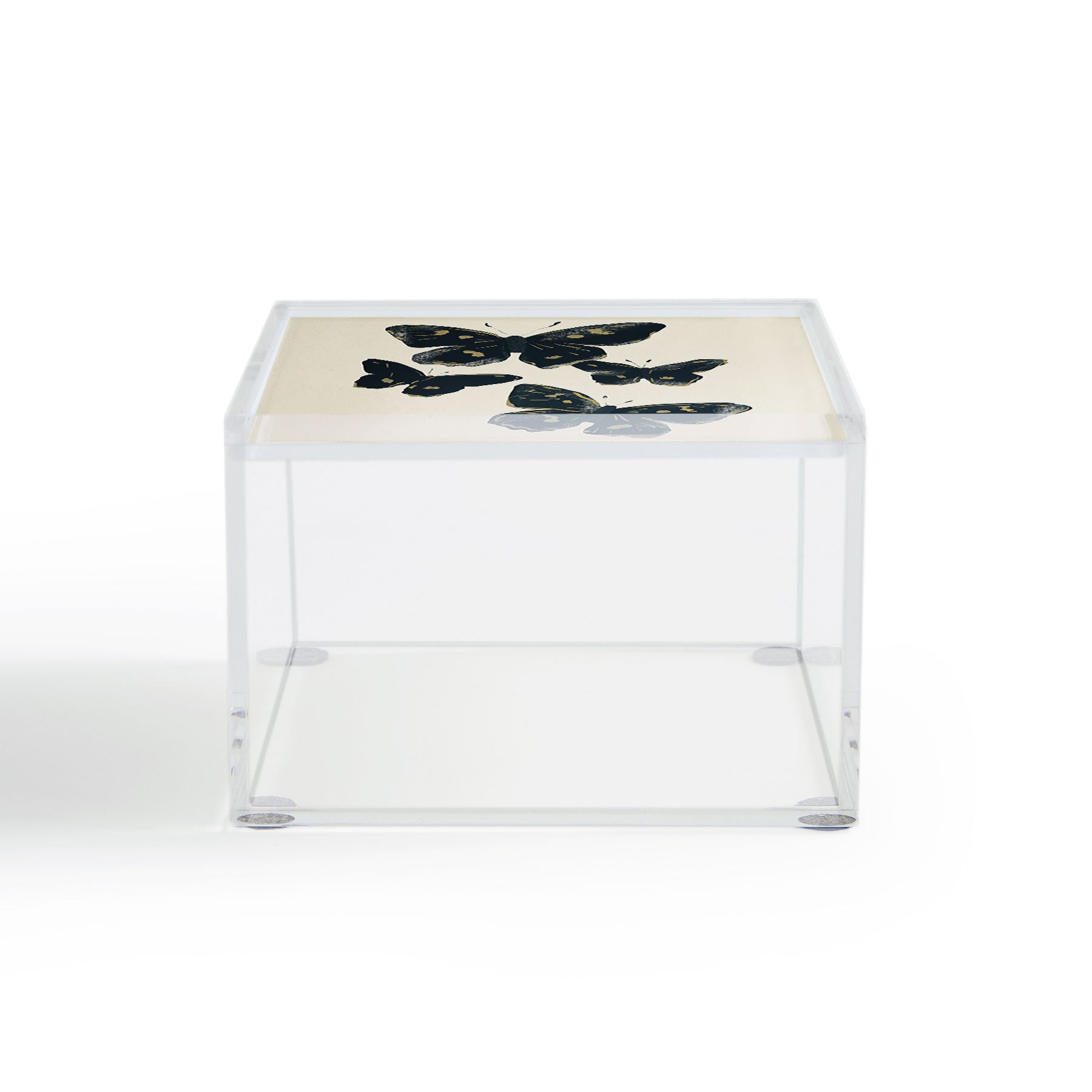 ThingDesign Black Butterflies 2 Acrylic Box