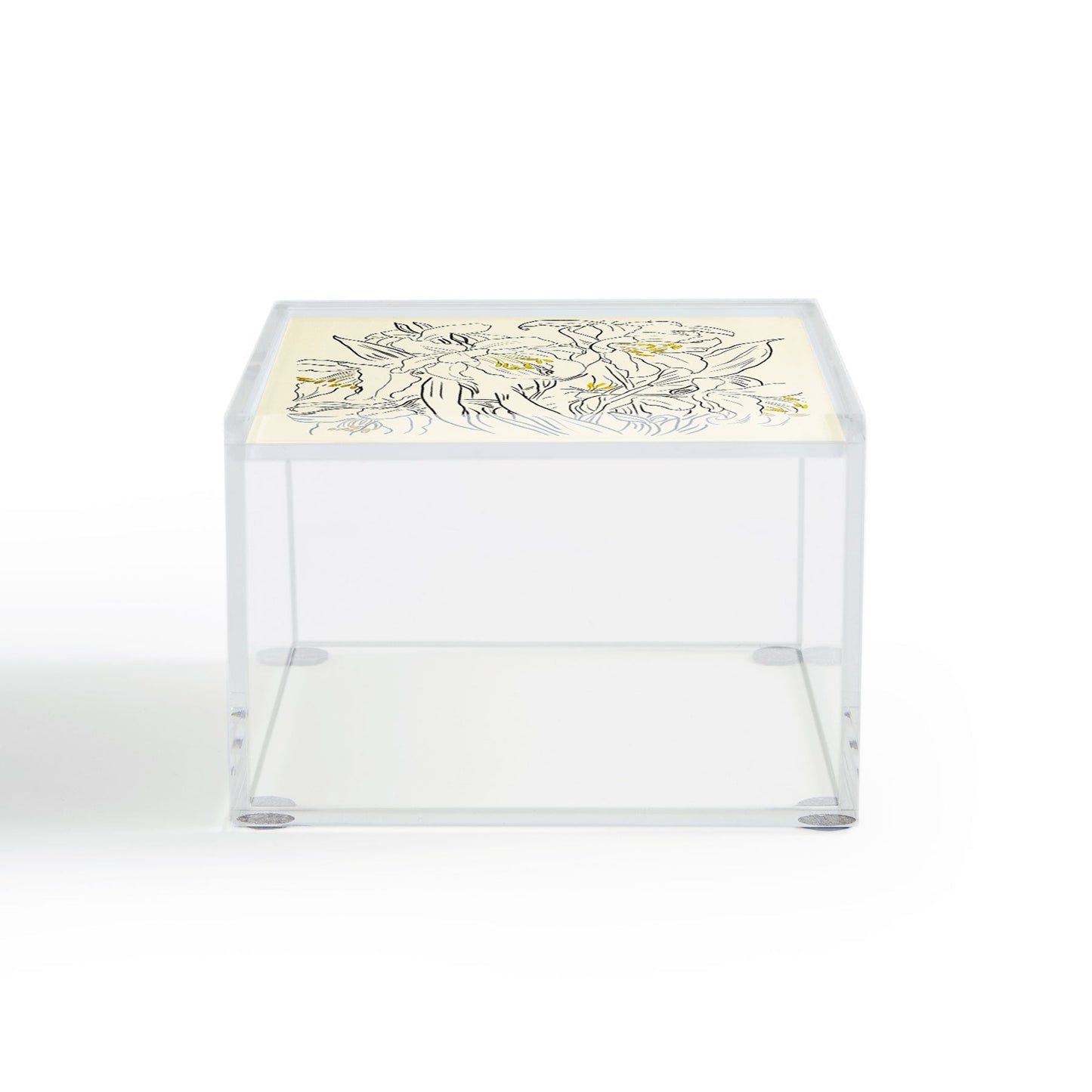 ThingDesign Minimalist Garden flowers Acrylic Box