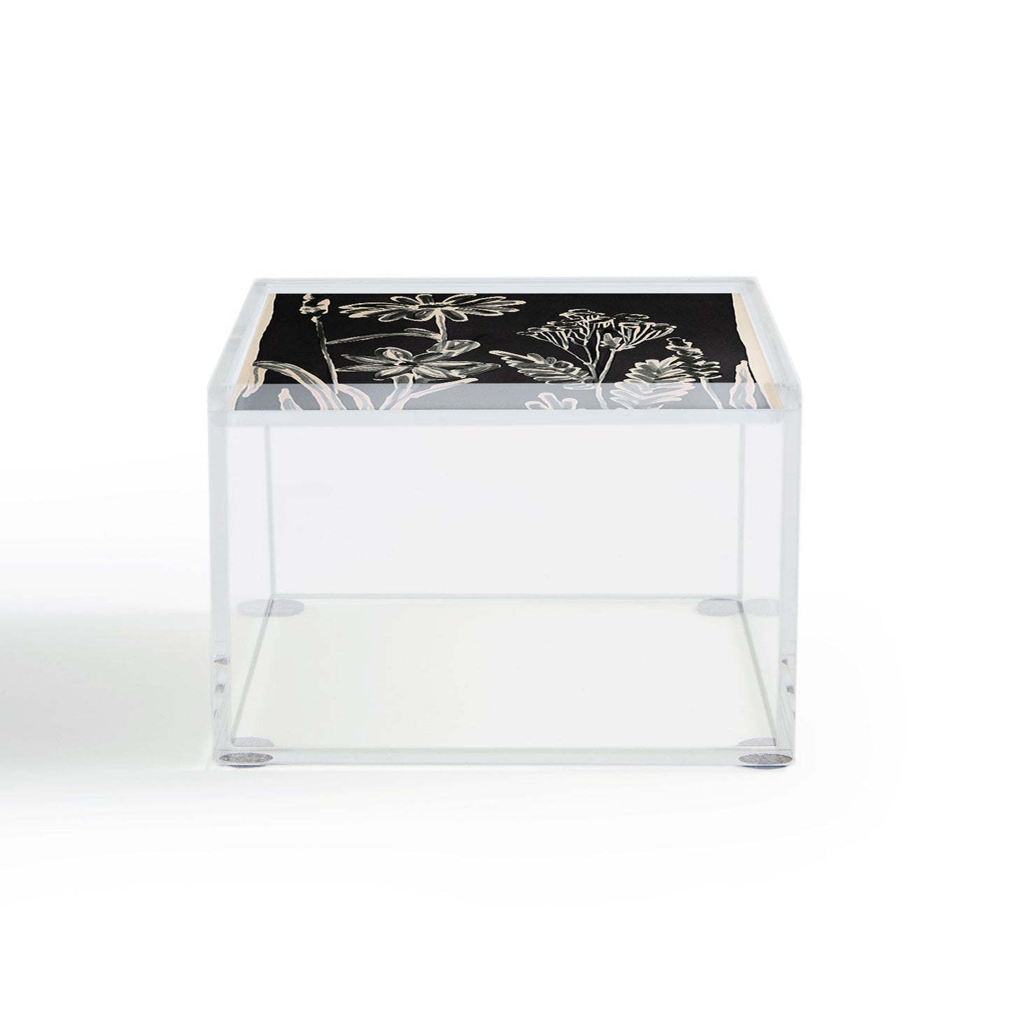 ThingDesign Minimalist wildflowers 3 Acrylic Box