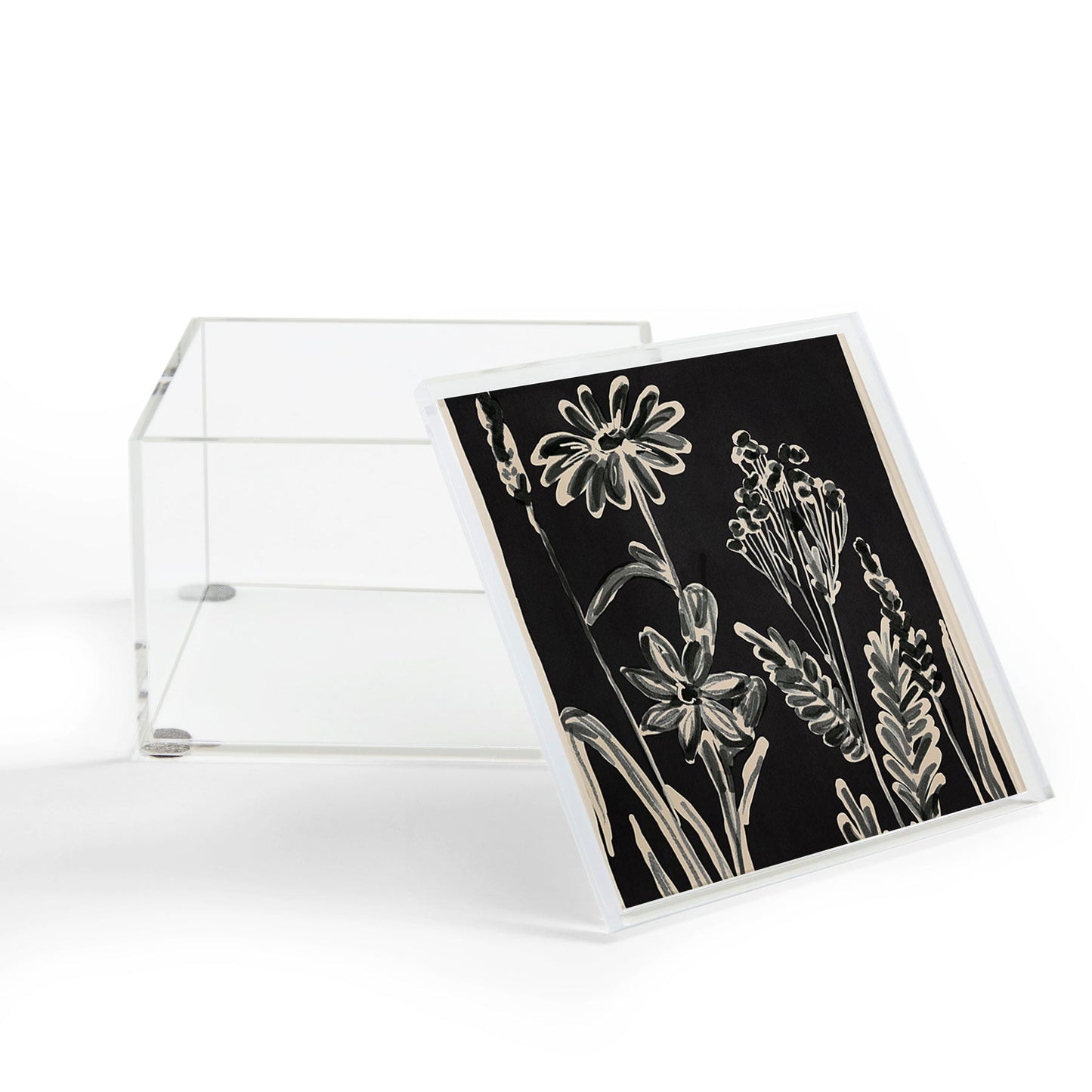 ThingDesign Minimalist wildflowers 3 Acrylic Box