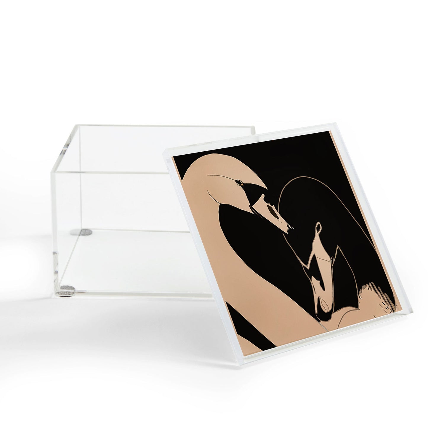 ThingDesign Two Swans I Acrylic Box