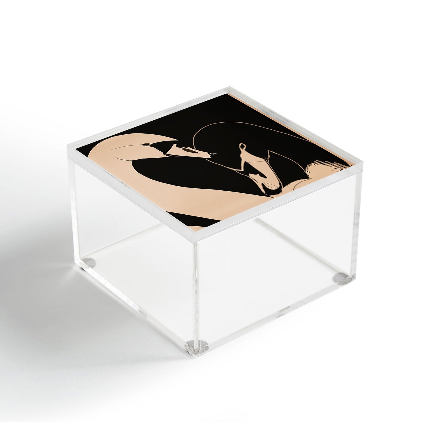 ThingDesign Two Swans I Acrylic Box