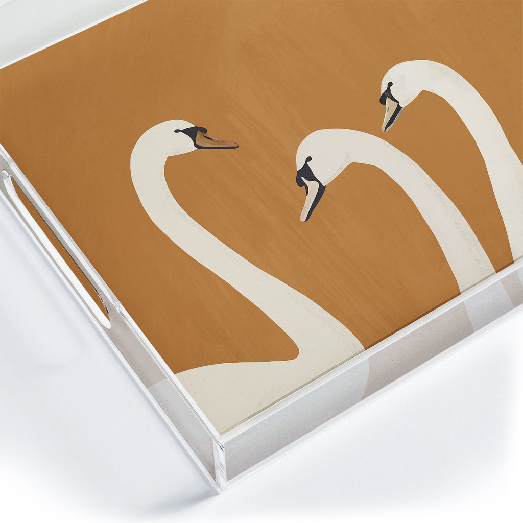 ThingDesign White Swans 2 Acrylic Tray