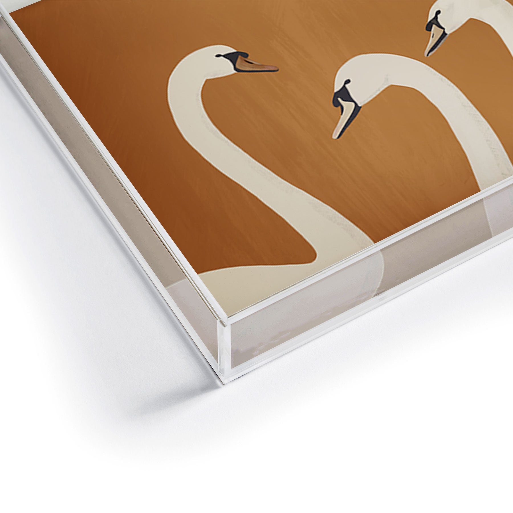 ThingDesign White Swans 2 Acrylic Tray