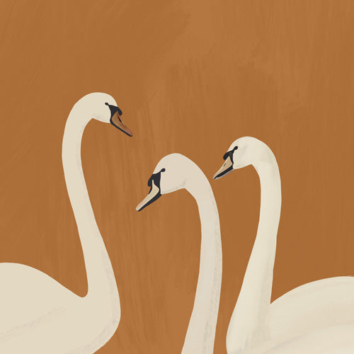 ThingDesign White Swans 2 Shower Curtain