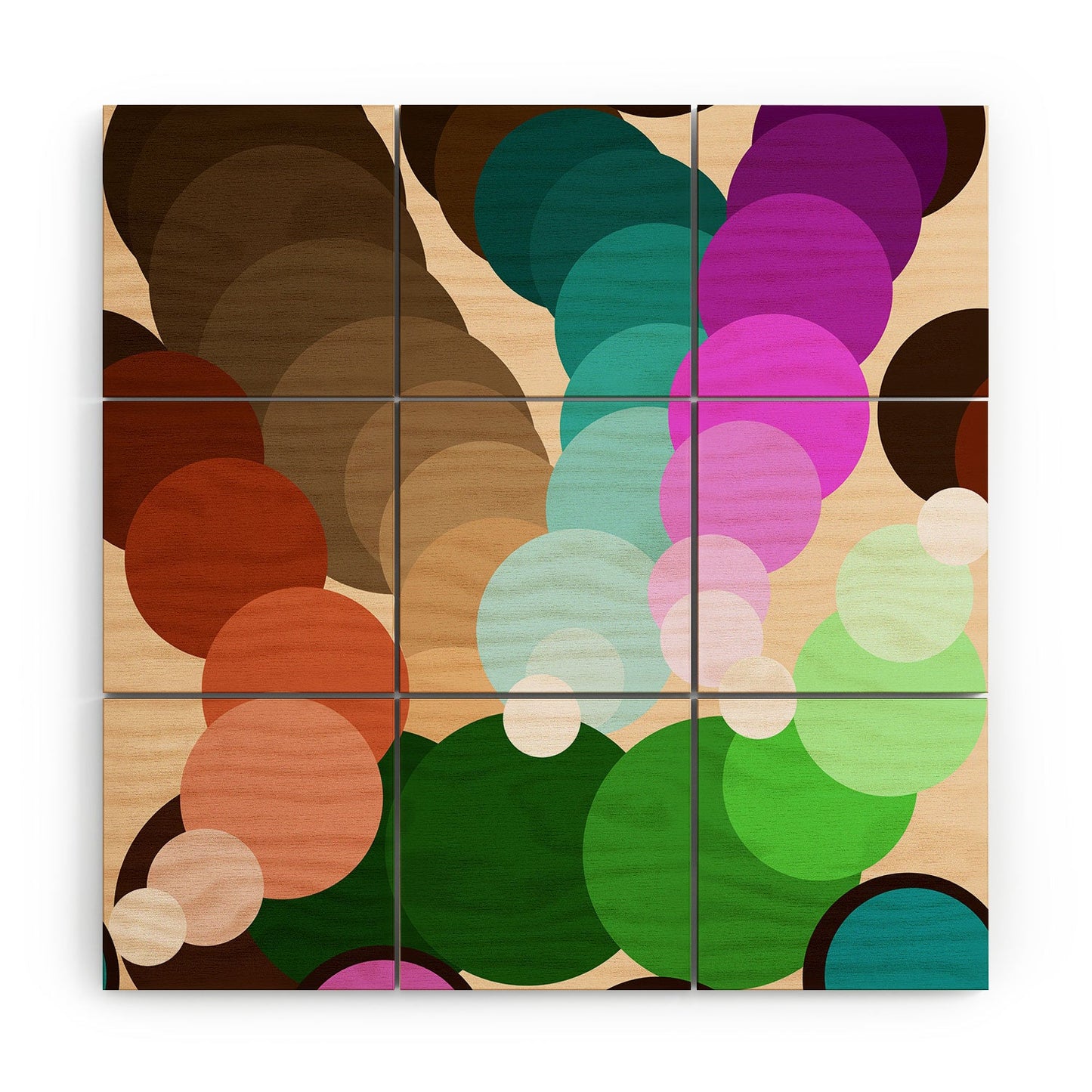 Tina Salazar Circles of Colors Wood Wall Mural