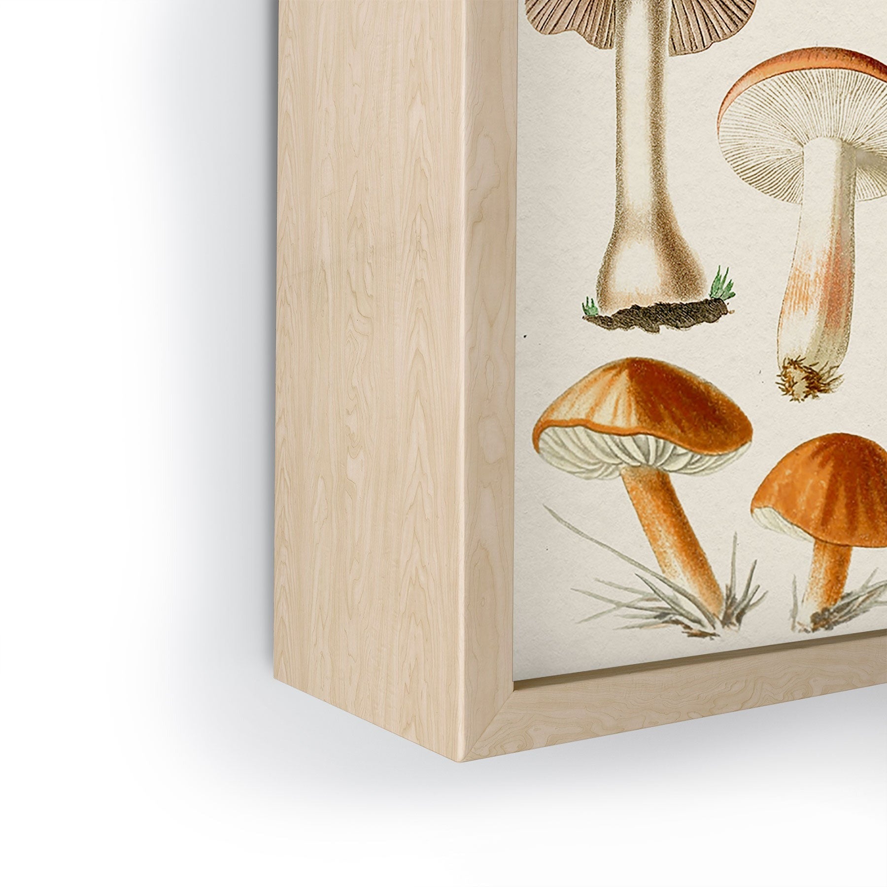 Gal Design Mushrooms Collection Framed Mini Art Print