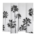 Gal Design Black And White Palms Wall Mural