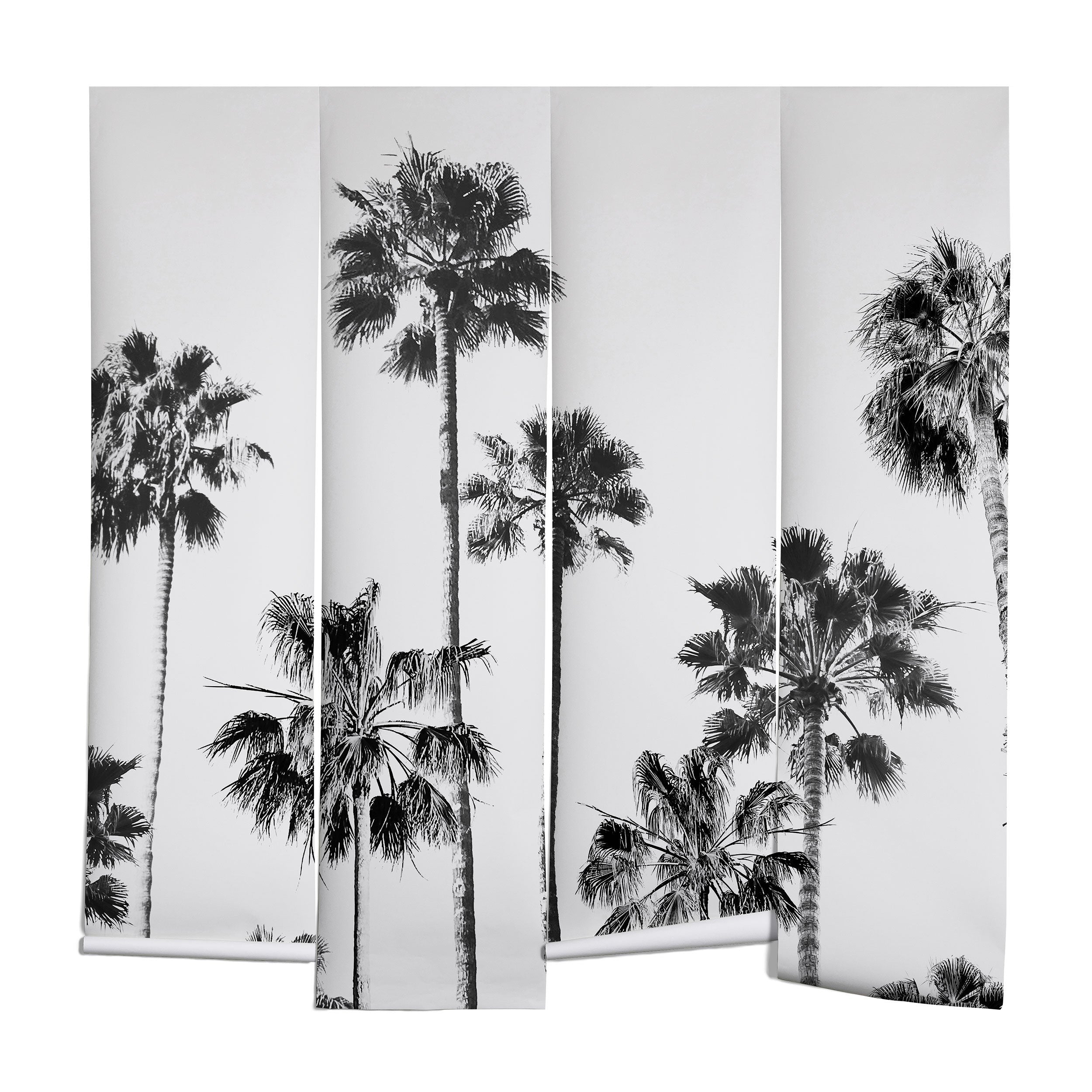 Gal Design Black And White Palms Wall Mural