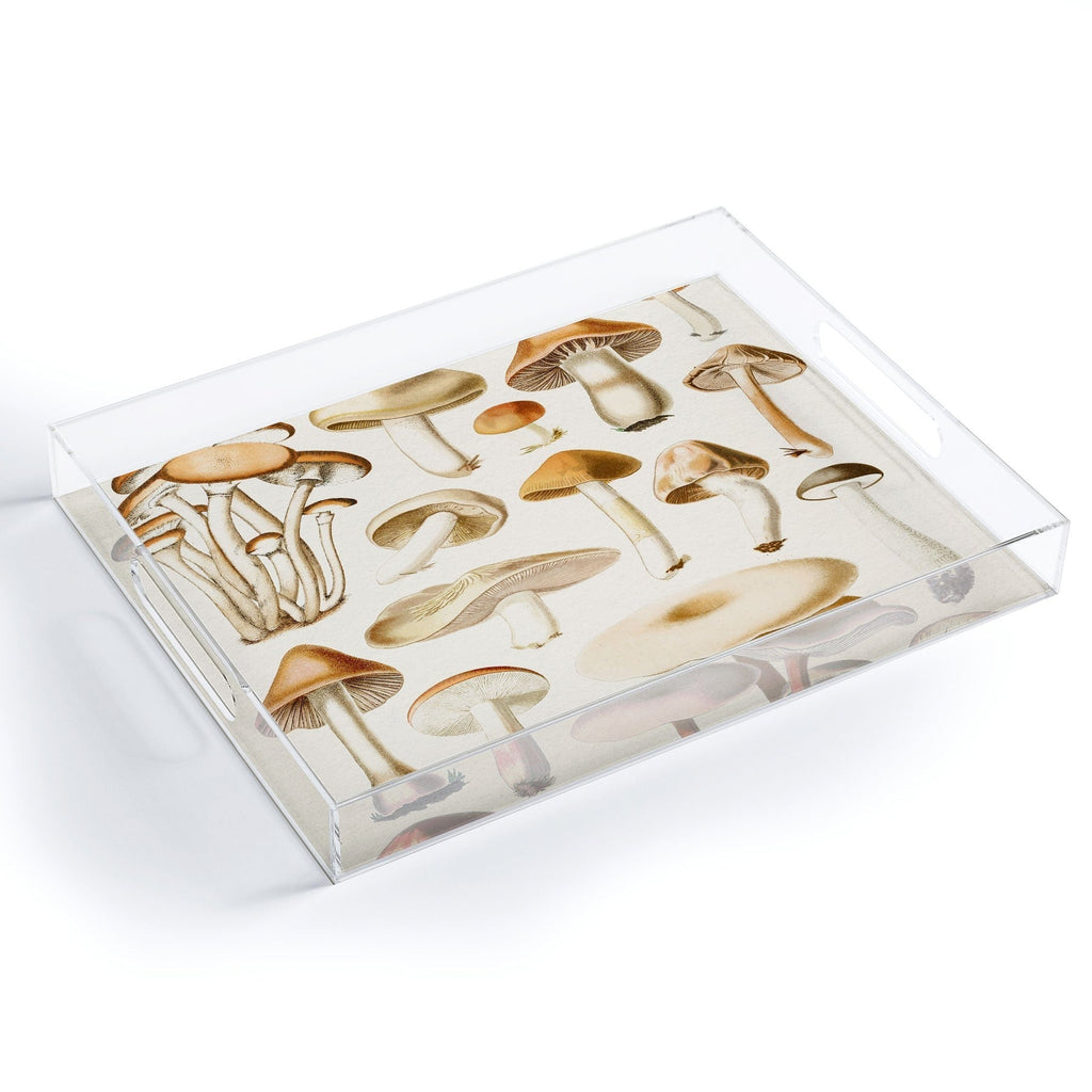 Gal Design Mushrooms Collection Acrylic Tray