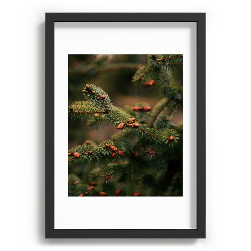 Hannah Kemp Spruce Tips Recessed Framing Rectangle
