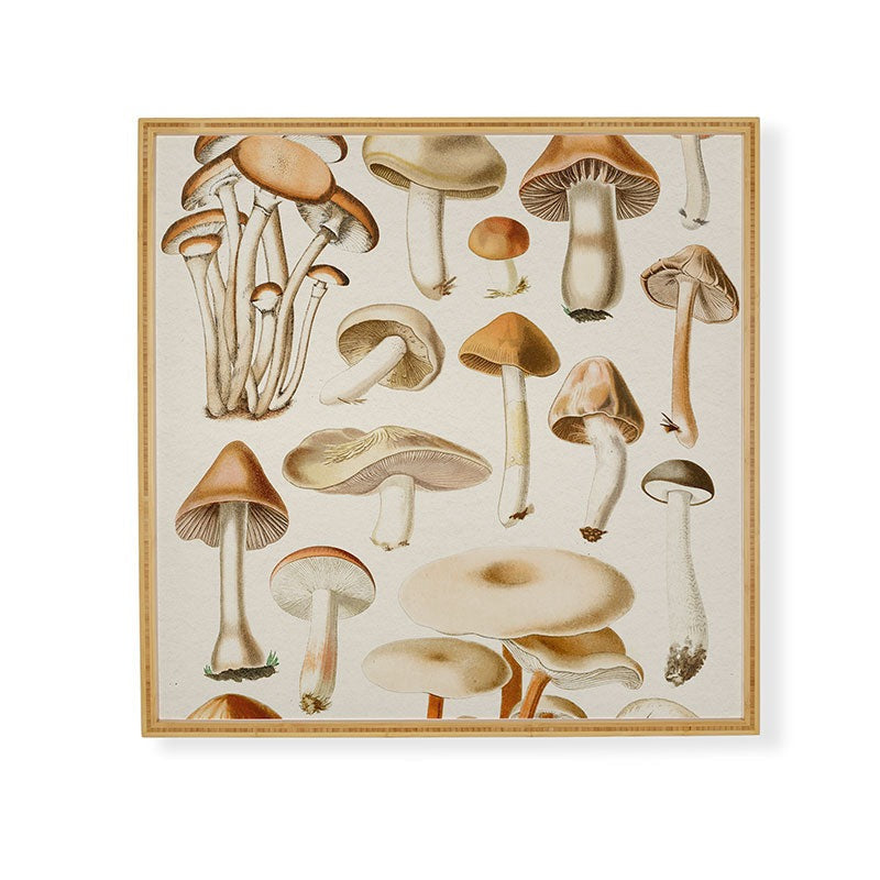 Gal Design Mushrooms Collection Framed Wall Art