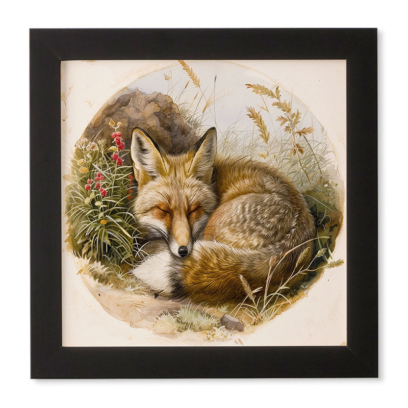 trajeado14 Fox Sleeping Vintage Illustration Framed Wall Art