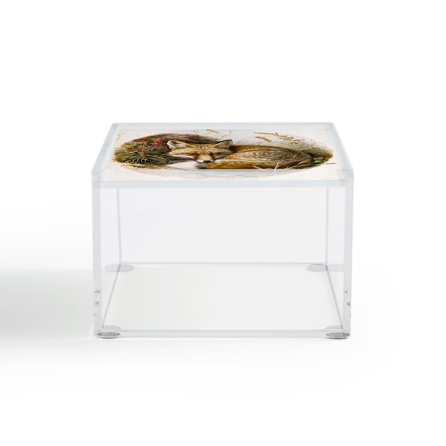 trajeado14 Fox Sleeping Vintage Illustration Acrylic Box
