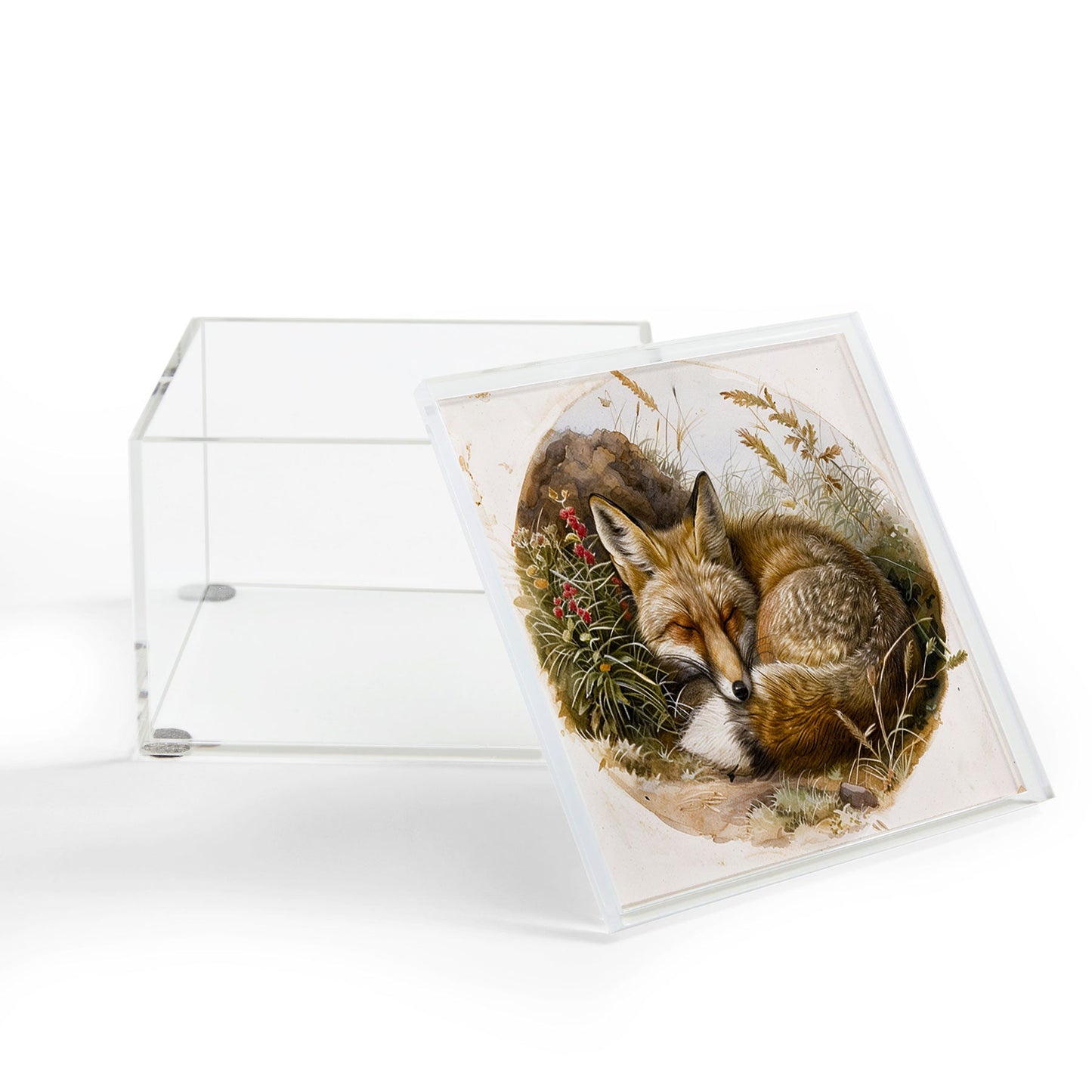 trajeado14 Fox Sleeping Vintage Illustration Acrylic Box