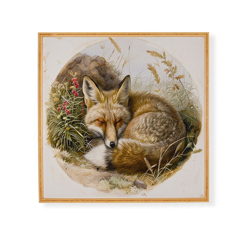 trajeado14 Fox Sleeping Vintage Illustration Framed Wall Art