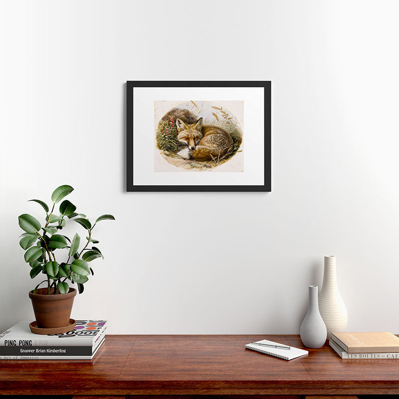 trajeado14 Fox Sleeping Vintage Illustration Framed Art Print