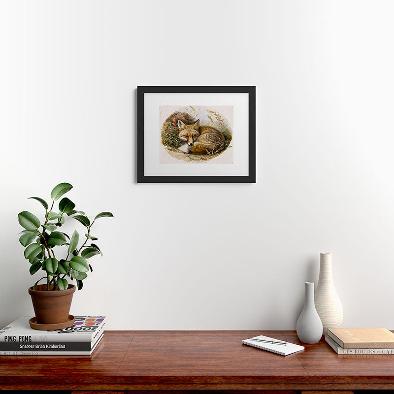 trajeado14 Fox Sleeping Vintage Illustration Framed Art Print